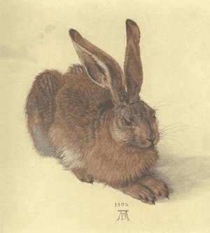 Young Hare I 1502