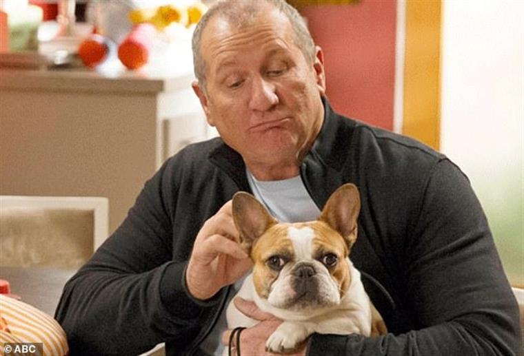 Most Modern Family's Popular Characters